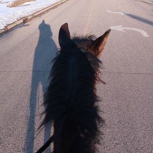 Meet your Posher, Matthew